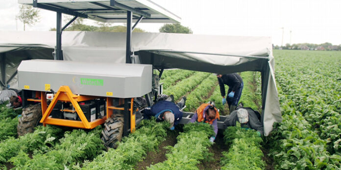 Automated farming market