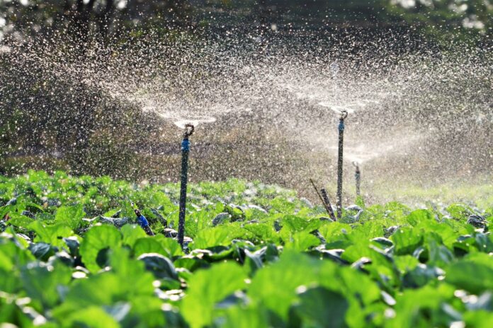 Irrigation Automation Market